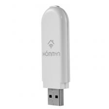 Модуль съёмный для водонагревателей Модуль съемный управляющий HOMMYN HDN/WFN-02-01 (НС-1416708)