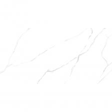 Коллекция Atlantic Marble с полированной поверхностью для укладки на пол гостиной, прихожей, ванной комнаты, кухни, а также для облицовки стен ванной комнаты, санузла. Ректифицированный край позволяет сделать укладку с минимальным швом. Классический, изящный, с тонкими грациозными жилками рисунок белого мрамора Atlantic Marble никого не оставит к себе равнодушным. Такая текстура универсальная, сочетается как с древесиной любых оттенков, так и с акцентным керамогранитом насыщенных цветов с активным каменным узором. Этот светлый керамогранит расширяет пространство, создавая ощущение лёгкости и воздушности интерьера. Такая текстура является вечным напоминанием о красоте классики.