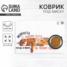 Коврик под миску «Не проста жизнь кота», 43x28 см