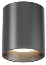 Потолочный светильник Denkirs SHINE TUBE DK2610-DN