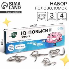 Металлические головоломки «IQ-повысин», набор 4 шт.