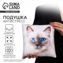 Подушка декоративная антистресс, кот «Рэгдолл»