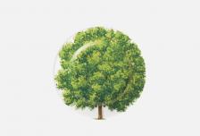 Тарелка FREEDOM, 16 см 16 см TAITU