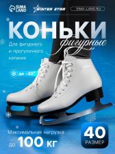 Коньки фигурные Winter Star Basic, р. 40