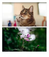 Объектив 7Artisans 50mm F0.95 EF-M A008B-S
