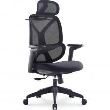 смелый эффектный дизайн и высокий уровень комфорта при длительном использованииспинка с натяжной полупрозрачной сеткой, повторяющая физиологические изгибы позвоночникамеханизм регулировки величины и положения поясничного изгибастильный подголовник c регулировкой высоты и угла наклонаплечики для одеждыт-образные подлокотники с мягкой подушкой и 3-d регулировкой — высота, глубина и угол поворота подушкисиденье сложной выпукло-вогнутой анатомической формы, наполнение — формованный полиуретанраздельный синхронизированный наклон спинки и сиденья с фиксацией в 3-х положениях