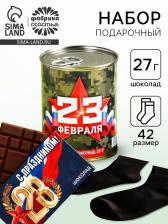 Подарочный набор «23 Февраля», носки + шоколад