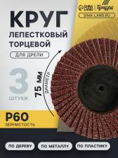 Круг лепестковый торцевой ТУНДРА, для дрели, М8, 75 мм, P60, 3 шт.