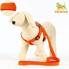 Шлейка с поводком, ширина 2 см, поводок 120 см, рельефная, оранжевая