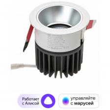 Умный встраиваемый влагозащищенный светильник SIBLING Commercial Light-ZBIСLW W 00-00012822
