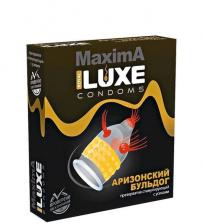 Презерватив Luxe Maxima Аризонский бульдог с усиками и точками, 1 шт