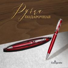 Ручка подарочная, шариковая, в пластиковом футляре, поворотная, «Франсуаза», бордово-серебристая