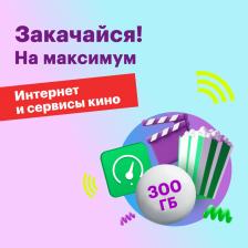 Тариф "Тариф 300ГБ"