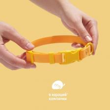 Водонепроницаемый ошейник для собак средних пород IN GOOD COMPANY (М / желтый)