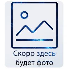 Прожектор светодиодный с датчиком освещенности 10Вт 185-265В 6500К 860лм IP65 General GTAB-S1-10BT-IP65-6, цена за 1 шт