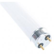 Лампа люминесцентная Camelion 3007, G13, T8, 1500 Вт, 6500 К