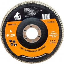 Лепестковый круг торцевой по металлу Круг лепестковый торцевой по металлу (125х22 мм; Р120) Русский Мастер РМ-90351