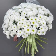 Букет живых цветов 4 СЕЗОНА Монобукет из 25 белых кустовых хризантем