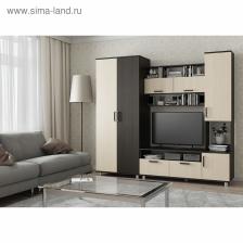 Гостиная «София-3», 2000x2200x500 мм, цвет венге/дуб молочный