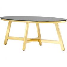 Журнальный стол Stool Group 100*50 АЛЬБА золото стекло черное УТ000004641