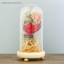 Фигурка светящаяся RISALUX «Колба с розой в букете» LED-ночник, 3xААА, 19x9.5x9.5 см, МИКС