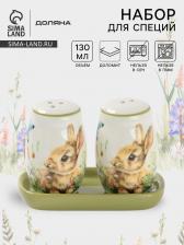 Набор для специй Доляна «Зайка», 2 предмета: солонка, перечница 130 мл, 11.5x6.2x8.8 см, доломит, белый