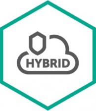 Kaspersky Security для виртуальных и облачных сред, Core Russian Edition Educational Renewal License