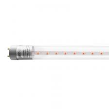 Лампы светодиодные специального назначения / PLED T8 600 Agro 8w CL G13 ( для растений) Jazzway (5025899), цена за 1 шт.