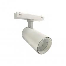 Трековый магнитный светодиодный светильник iLEDEX VISION48/25 SMART 4825-048-D60-10W-36DG-WH