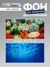 Фон для аквариума двухсторонний, 40x75 см