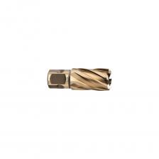 Корончатое сверло Сверло корончатое (22x30 мм; Weldon 19) LENZ LZHS-022