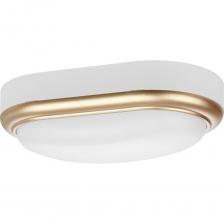 Светильник накладной LED "Антарес" от TDM Electric - это современное и функциональное решение для освещения различных помещений.Светильник предназначен для общего освещения бытовых и жилых помещений, таких как кухни, коридоры и жилые комнаты. Он также отлично подойдет для освещения общественных и административных помещений, таких как магазины и офисы.Светильник имеет высокую степень защиты IP54, что делает его устойчивым к пыли и влаге. Ударопрочный корпус и рассеиватель из поликарбоната обеспечивают долговечность и надежность светильника.Светильник оснащен светодиодами типа SMD, которые обеспечивают комфортный, мягкий и равномерный свет с индексом цветопередачи более 70 Ra и минимальными пульсациями менее 5%.Светильник имеет напряжение 100 В и класс электробезопасности II. Вес светильника составляет всего 0.34 кг, что делает его легким и удобным для установки.В комплекте с светильником идут резиновые уплотнители, которые защищают его от проникновения пыли и влаги. Это обеспечивает долгий срок службы драйвера и светодиодного модуля.Выбирая светильник накладной LED ДПО "Антарес", вы получаете надежное, функциональное и стильное решение для освещения вашего дома или офиса.