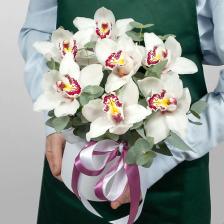 Букет живых цветов STUDIO FLORISTIC Композиция из Орхидей в шляпной коробке «Лунная орхидея»