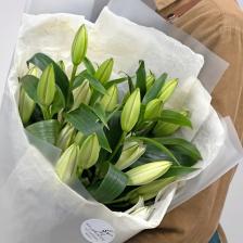 Букет живых цветов STUDIO FLORISTIC Букет из Белой лилии 5 шт «Элегантной»