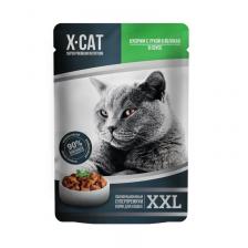 X-CAT XXL влажный корм для кошек, с уткой и яблоками в соусе, в паучах - 85 г супер премиум для взрослых с уткой паучи Россия 1 уп. х 12 шт. х 1.02 кг