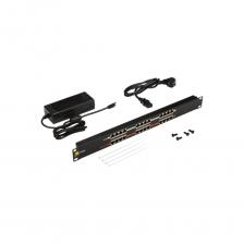 Панель LANMASTER LAN-PP12-POE/A1