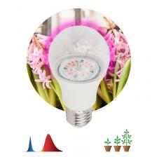 FITO-10W-RB-E27-K Фитолампа для растений светодиодная ЭРА FITO-10W-RB-E27-K красно-синего спектра 10 Вт Е27, цена за 1 шт