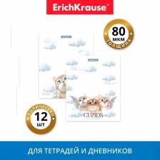 Набор обложек ПП 12 шт., 212 х 347 мм, 80 мкм, ErichKrause "Cupids", для тетрадей и дневников, МИКС