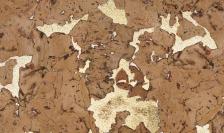 Пробка на стену Corkart, коллекция Classic, 324cTgN «CorkGuard 324c TgN»