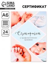 Сертификат о профилактических прививках А6, 24 страницы 10.5x14.8 см «Мальчик»