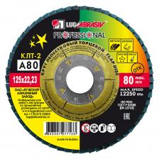 Круг лепестковый по металлу/древесине Луга Professional 125х22,2 мм P80 торцевой