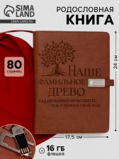 Родословная книга со встроенной флешкой 16 Gb «Наше фамильное дерево», 17.5x23 см