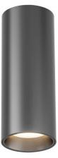 Потолочный светильник Denkirs SHINE TUBE DK2615-DN