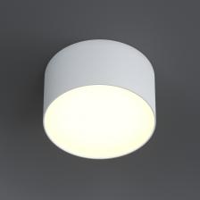 Накладной светодиодный светильник Ledron LXS0812-12W White 4000K