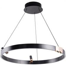 Подвесной светильник LED со спотами Arte Lamp Cesare A1993SP-30BK кольцо