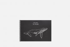 Скетчбук Whale 1 шт LISTOFF
