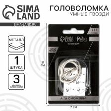 Головоломка металлическая «Игры разума. Умные гвозди» №9, на блистере