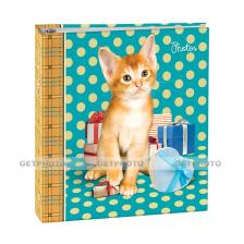 Фотоальбом, альбом с магнитными листами, 100 страниц (50 листов) 23х28, зверята, котёнок GF 5706