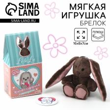 Мягкая игрушка с сюрпризом «Милашка Li», заяц, 16 см