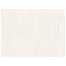 обои VILIA виниловые на флизелиновой основе 10,05х1,06м, арт.Ф6-10 1776-61